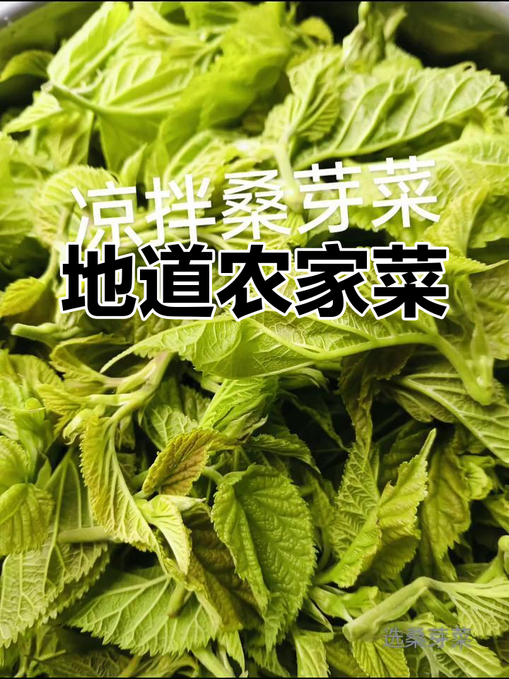 农家菜,纯天然绿色蔬菜的味道传承
