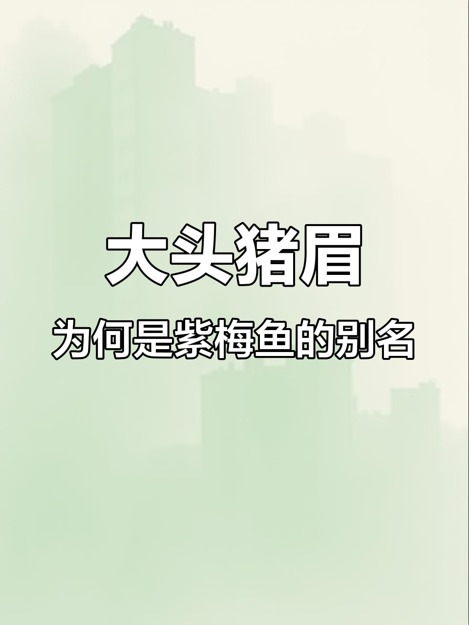 为什么温州人把紫梅鱼叫大头朱梅?揭秘海鲜家族的秘密