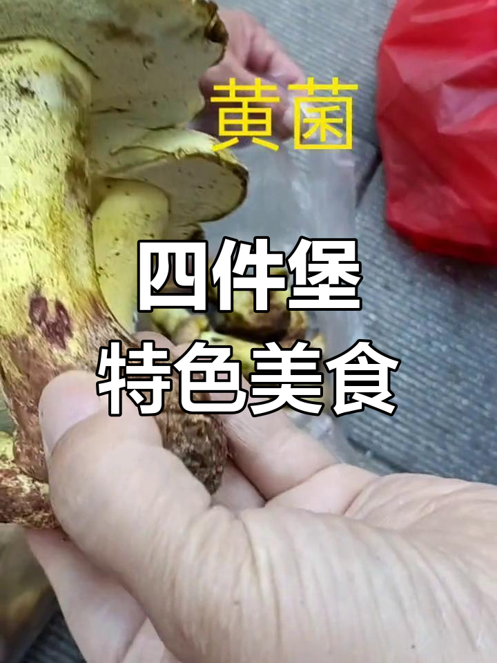 桂东四宝:黄菌、花豆与独特美味
