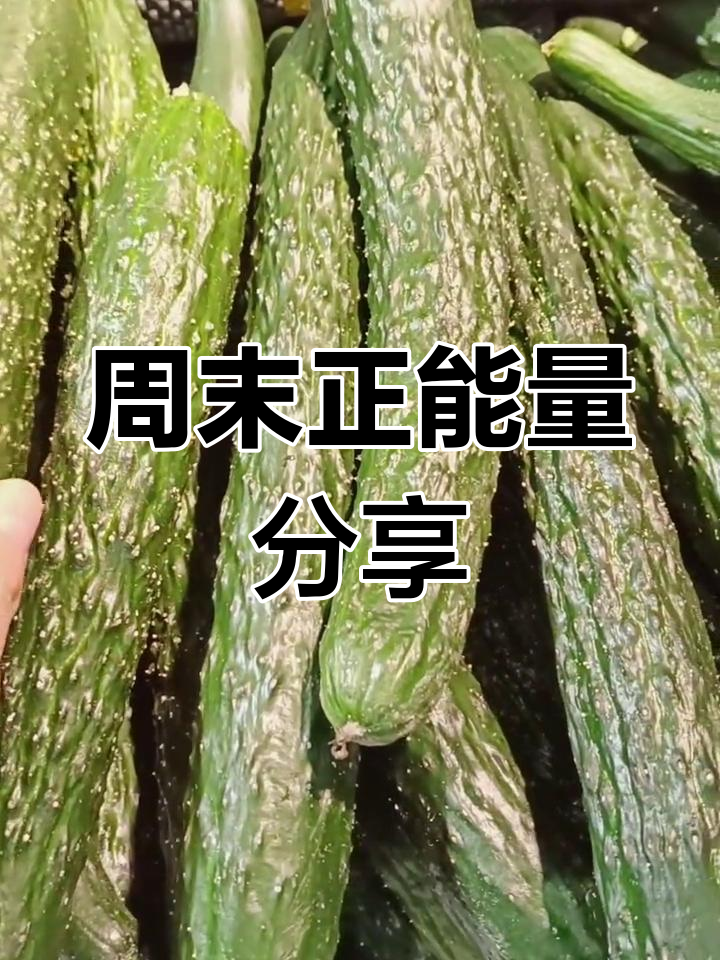 我的周末生活,真实记录正能量满满的一天