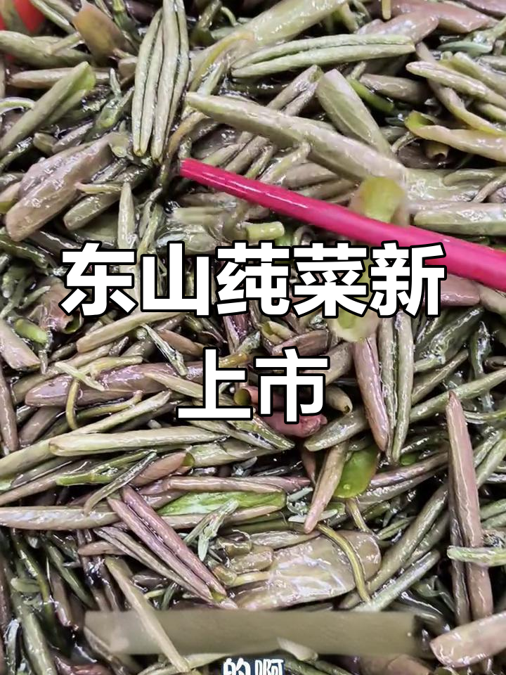 苏州东山新鲜莼菜上市,胶质满满汤凉拌皆宜