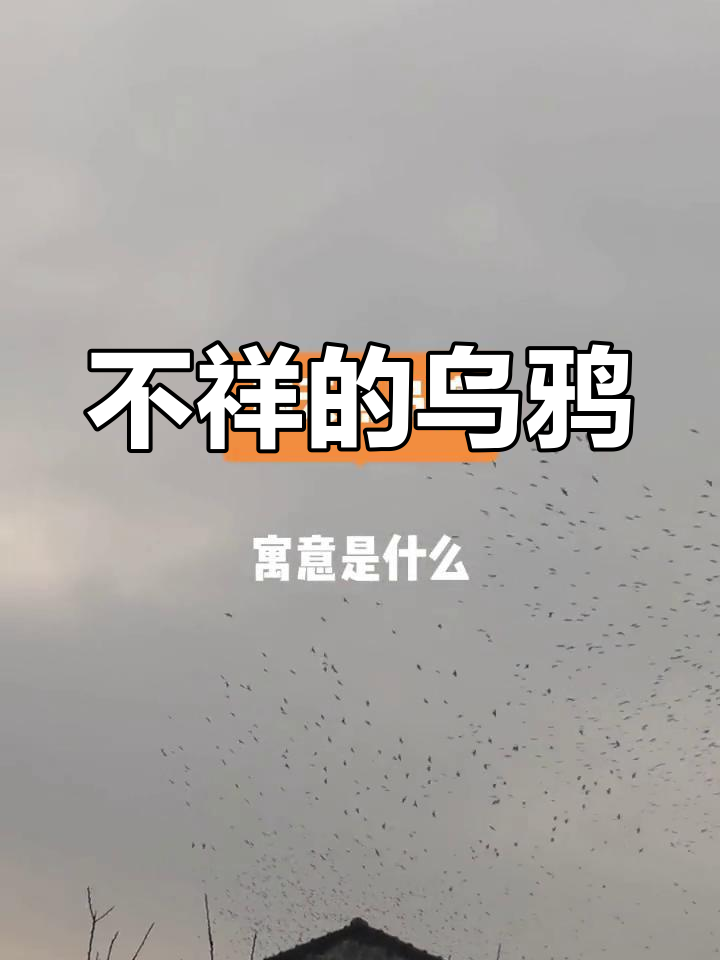 乌鸦因嗅觉敏锐,常被视为不祥之鸟,象征死亡与恐惧