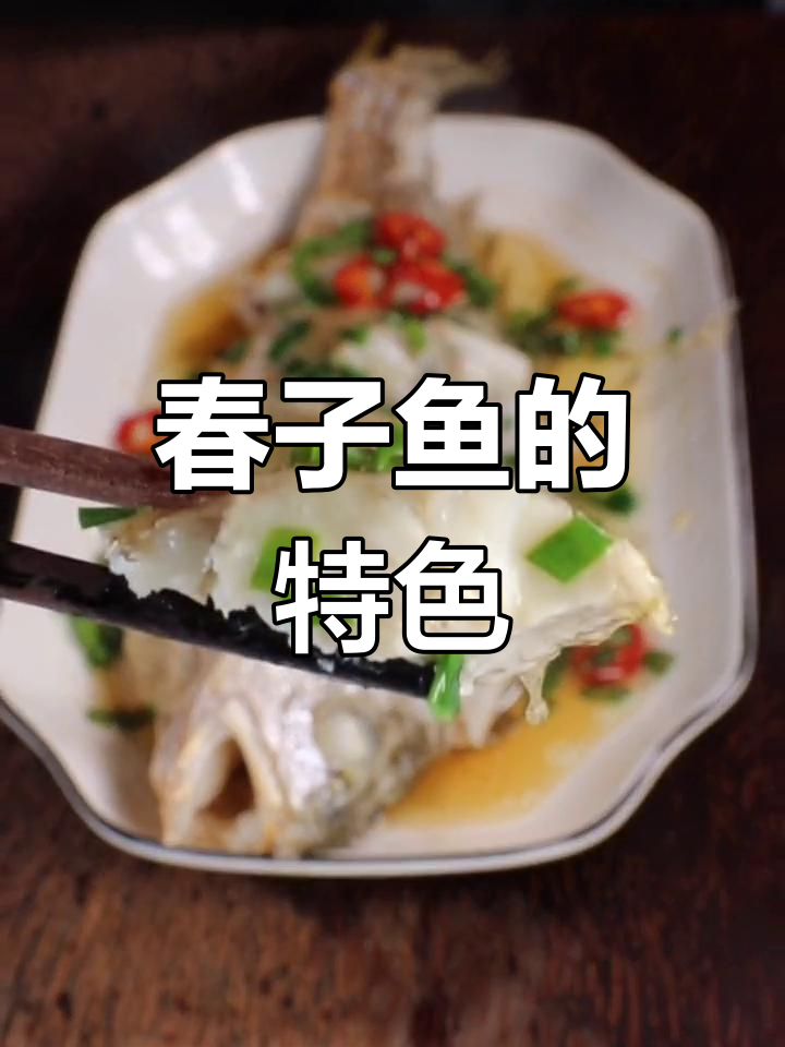春子鱼与黄花鱼同属,叫声独特,味道鲜美