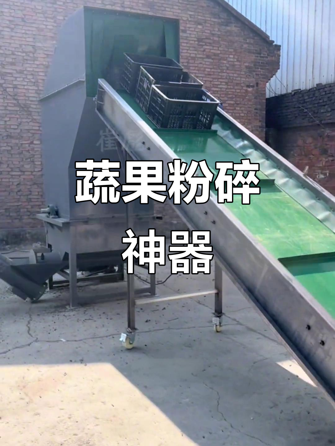 水果蔬菜筐粉碎机,1000型高效处理