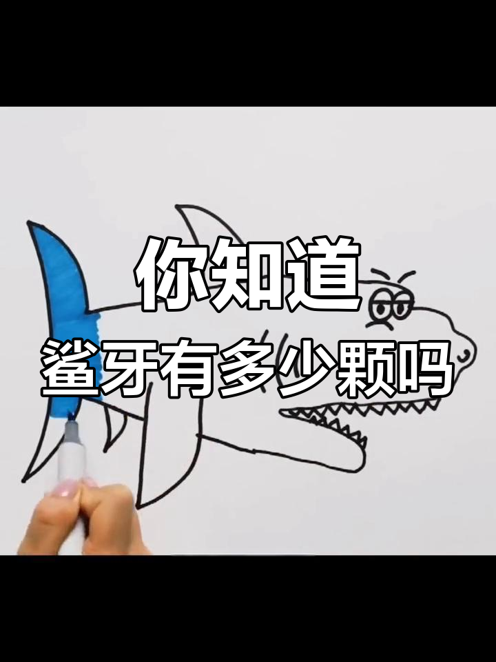 鲨鱼牙齿数量大揭秘,你知道吗?