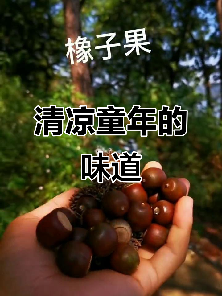 夏日必备凉菜,橡子粉豆腐带你回味童年清凉时光