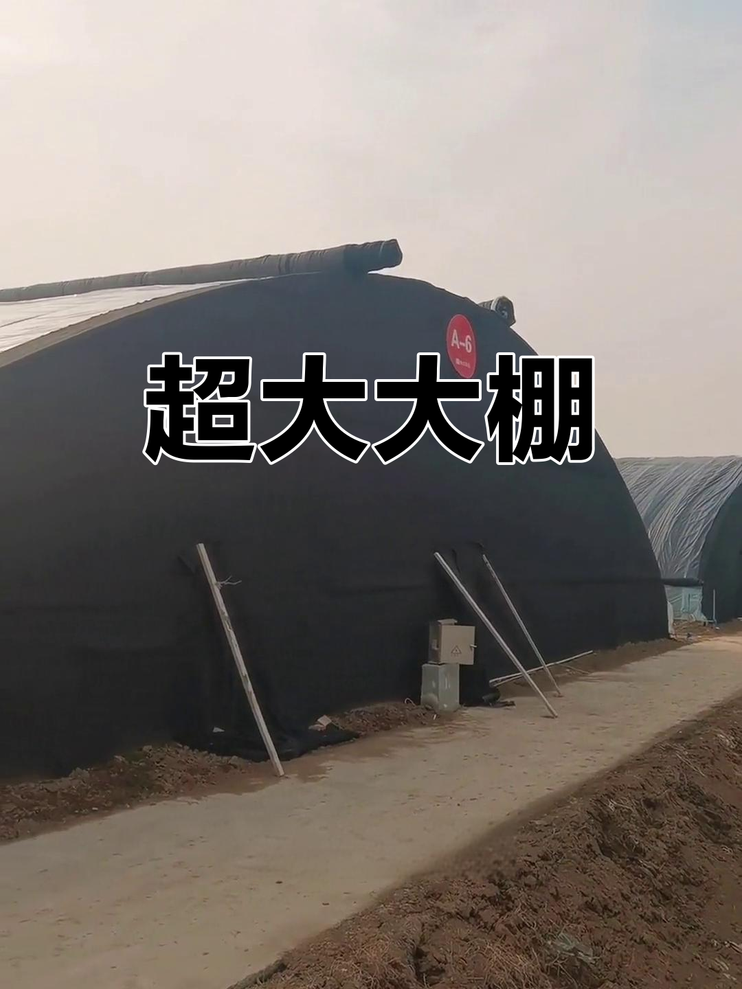 超大蔬菜大棚,25米宽180米长