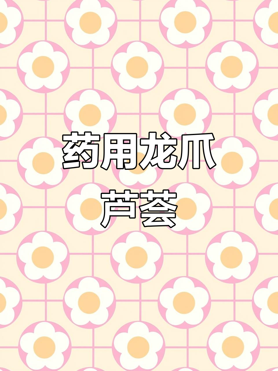 龙爪芦荟的药用功效,冬季开花惊艳