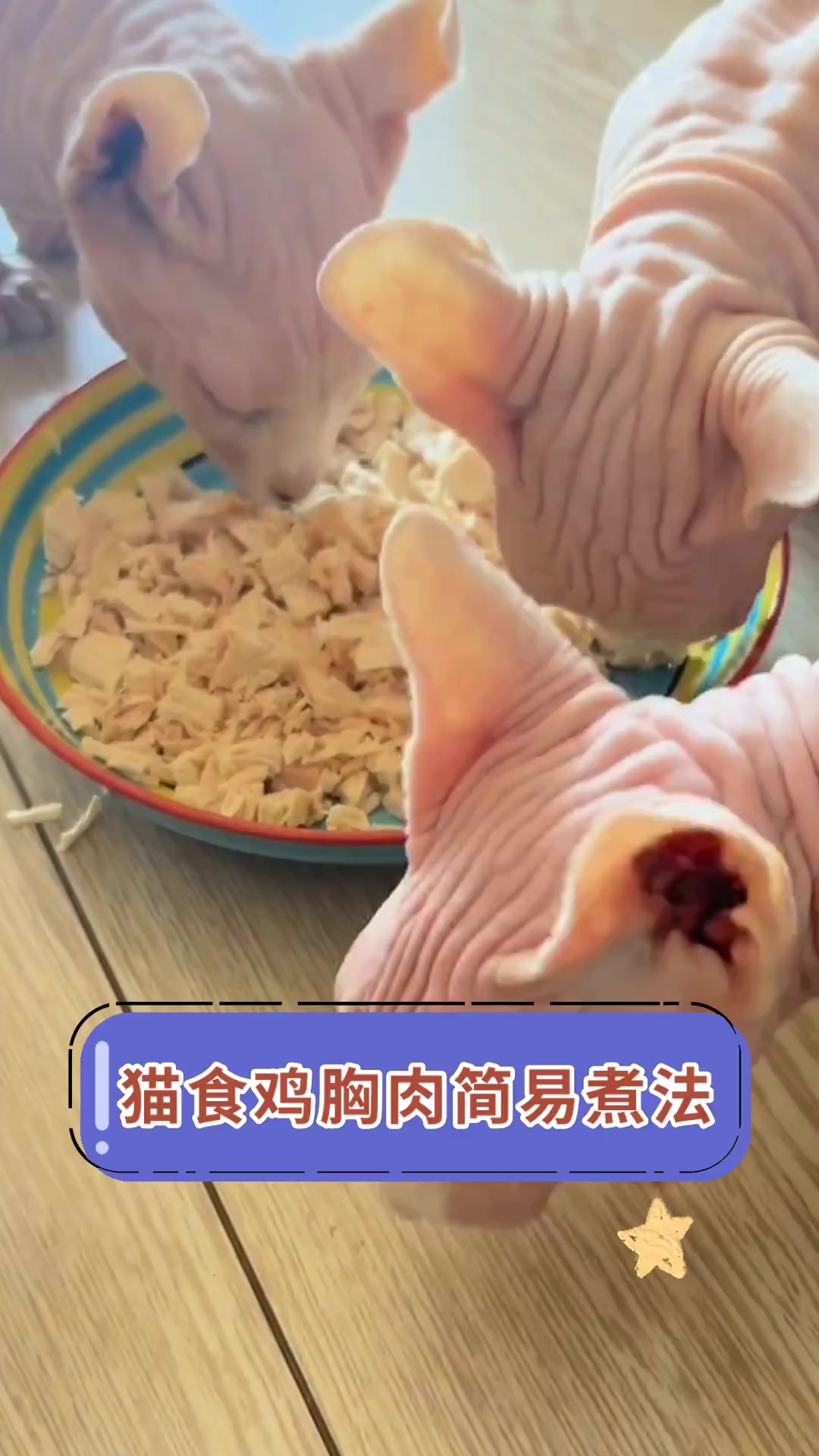 猫食鸡胸肉简易煮法
