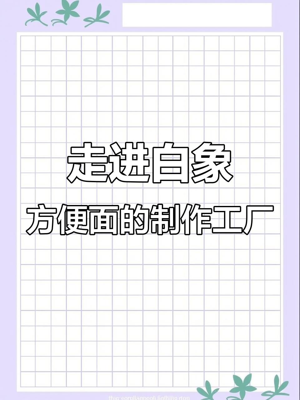 白象方便面背后的秘密:大棒骨熬汤,油炸工艺揭秘