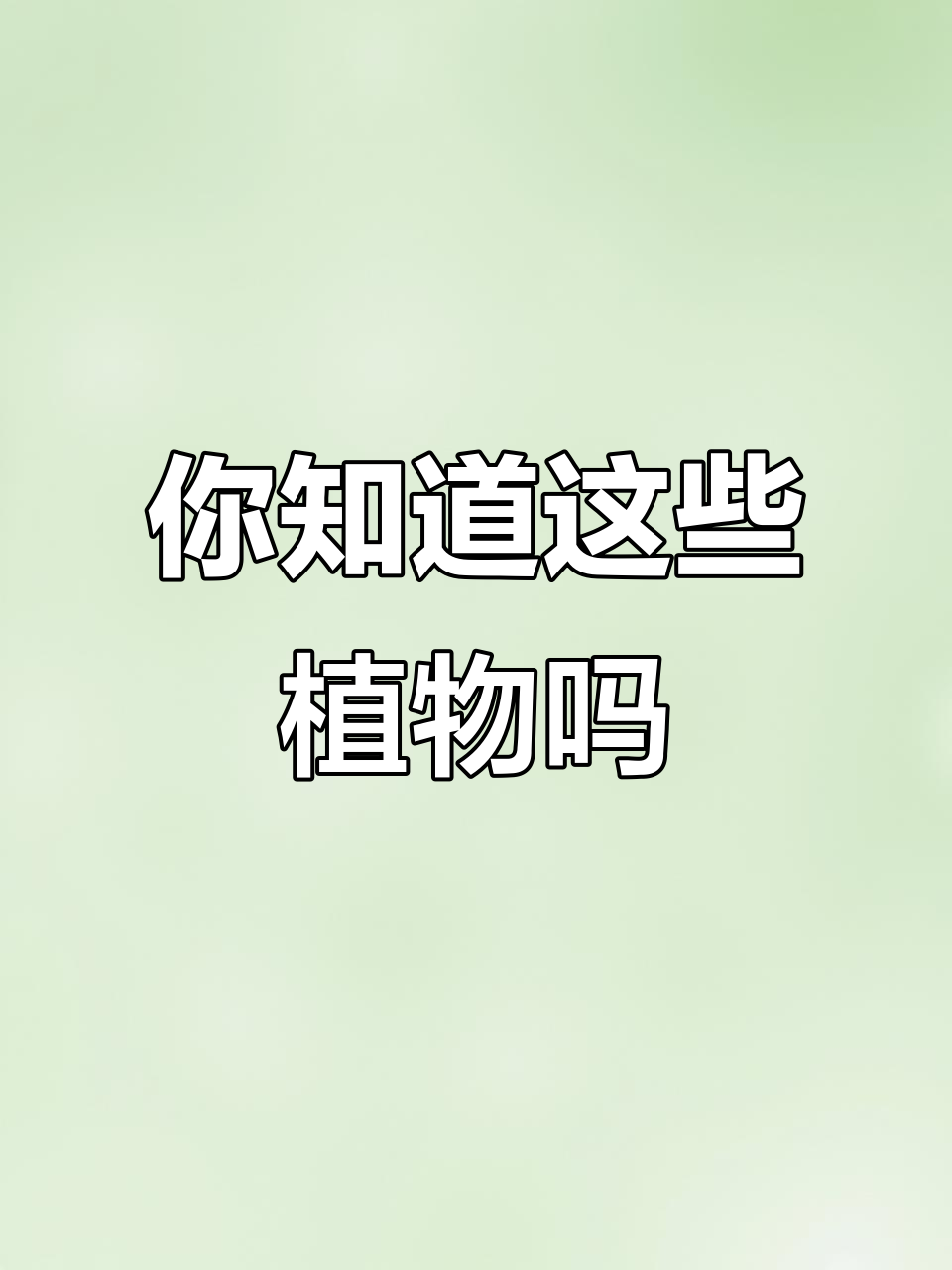 这些植物你认识吗?鹅不食草、紫茉莉都在其中