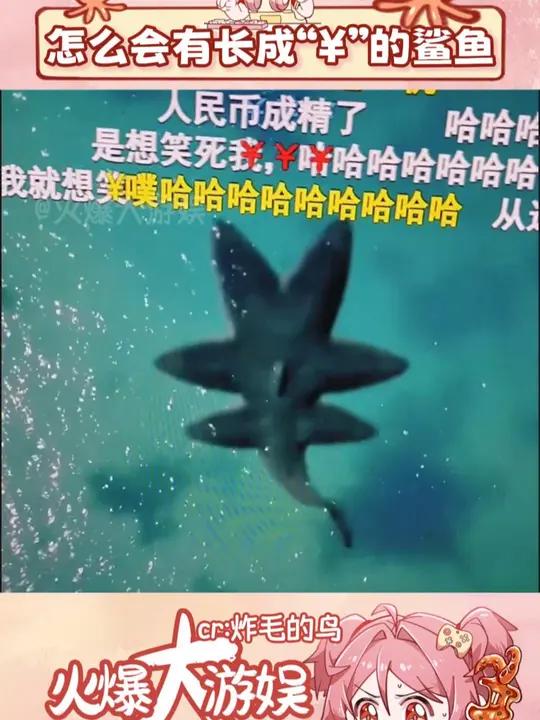 看见弹幕上的就该意识到不对劲的 电影 鲨鱼 沙雕 夺命六头鲨