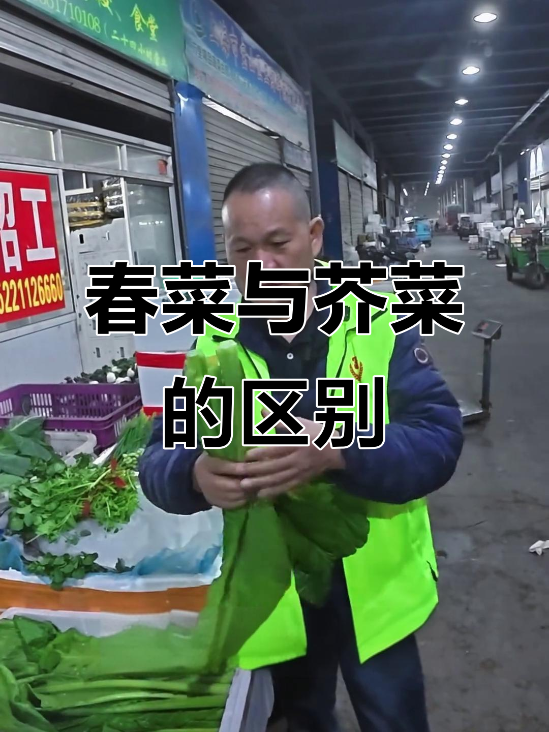 90%的人搞错!春菜与芥菜的惊人差异,你分得清吗?