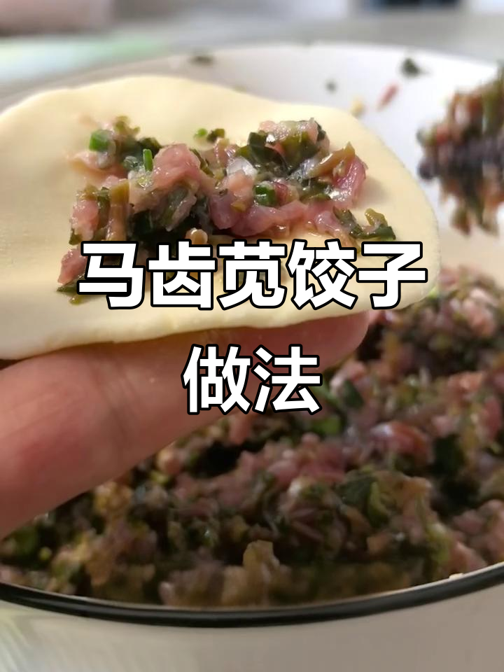 马齿苋饺子，鲜美野菜搭配独特香味，教你轻松做美味水煎饺