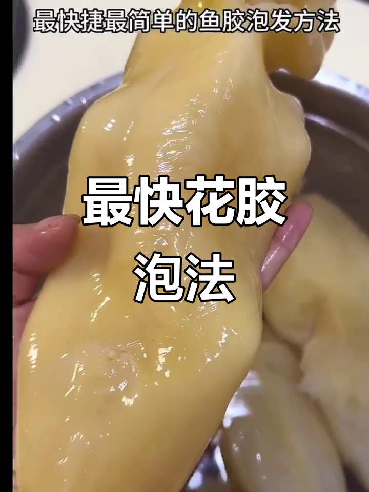 鱼胶泡发技巧大揭秘,简单又快速