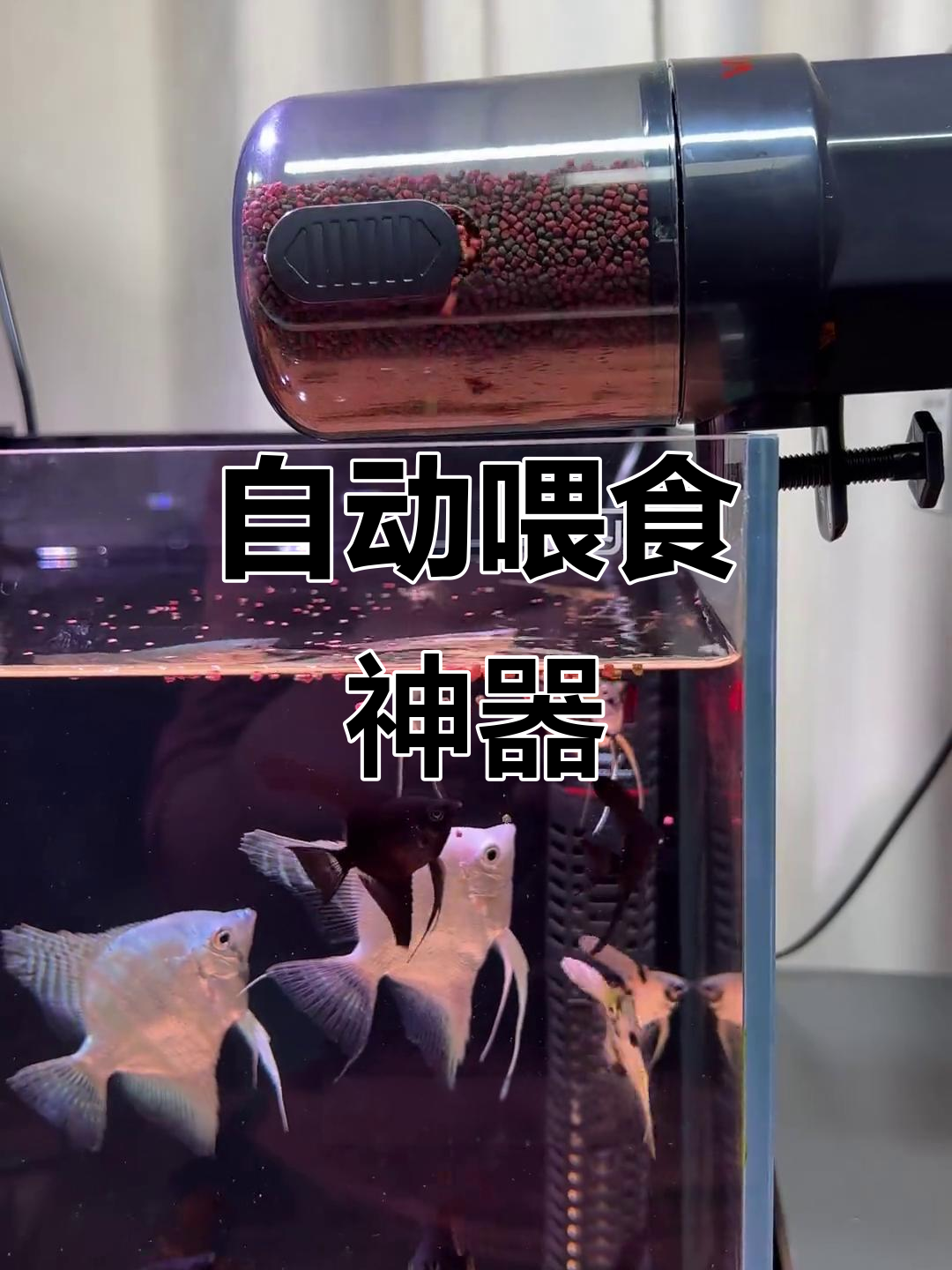 远程喂鱼,省心又便捷,首次使用需调整出餐口