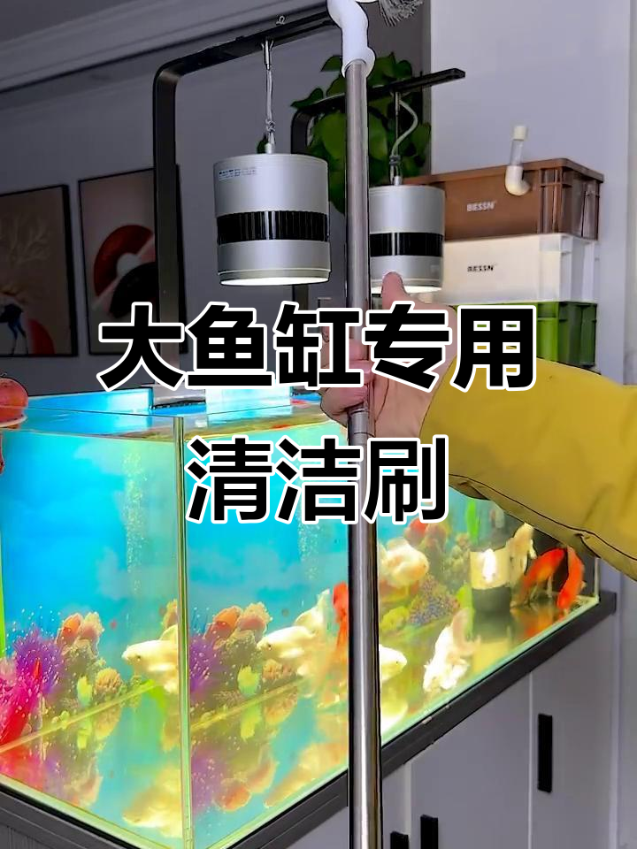 鱼缸清洁必备!这款刷子轻松搞定边角和青苔