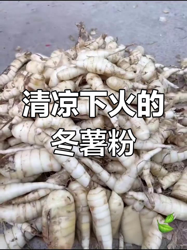 冬薯粉清凉降火,老少皆宜,煮一碗美味又健康!