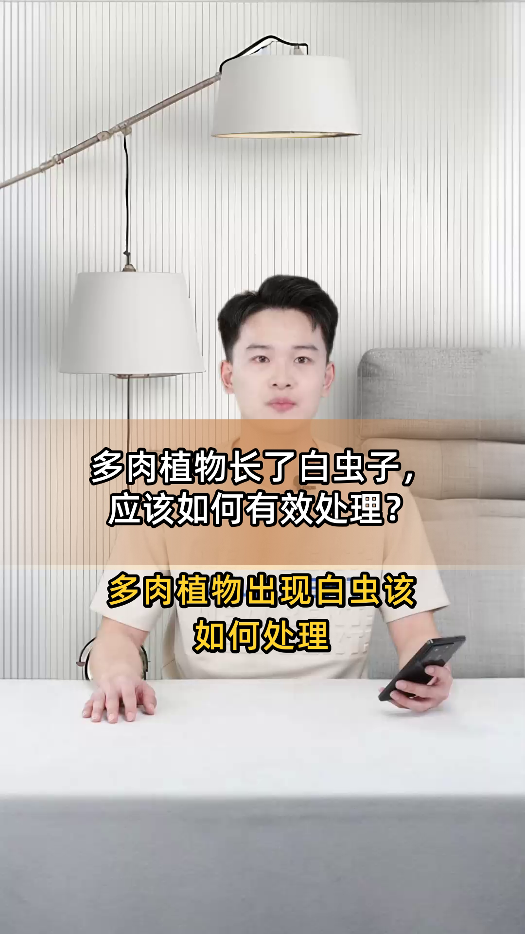 多肉植物长了白虫子,应该如何有效处理?