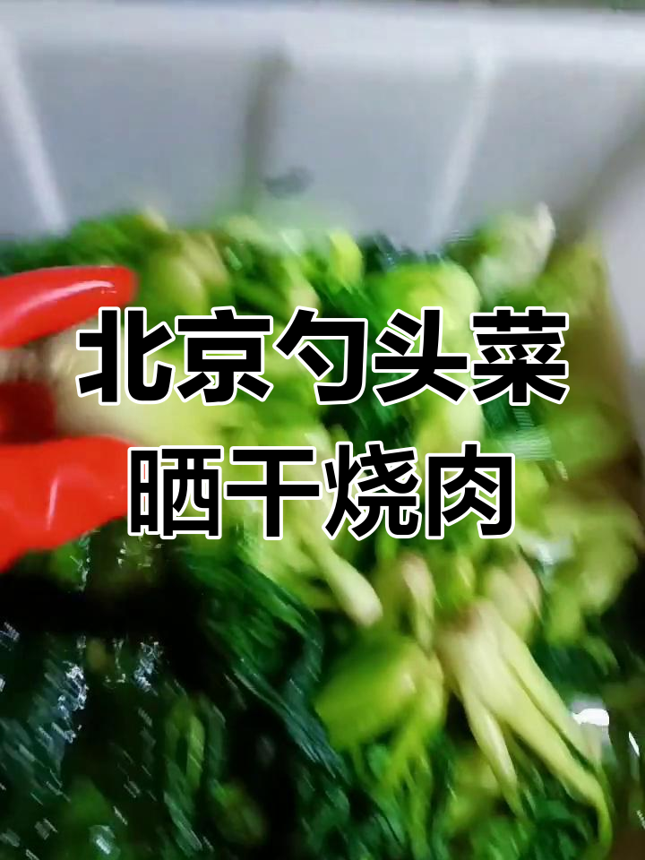 自制北京勺头菜,晒干烧肉更美味