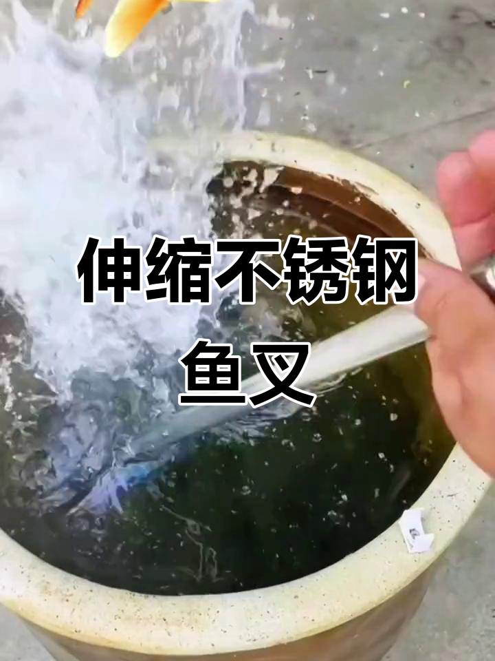 不锈钢伸缩鱼叉,轻松抓鱼不弯腰