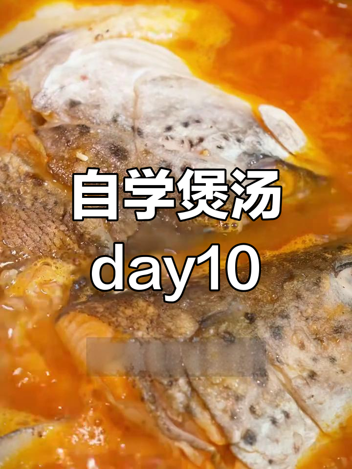 番茄三文鱼头汤,暖胃又鲜美,自学煲汤第十天成果