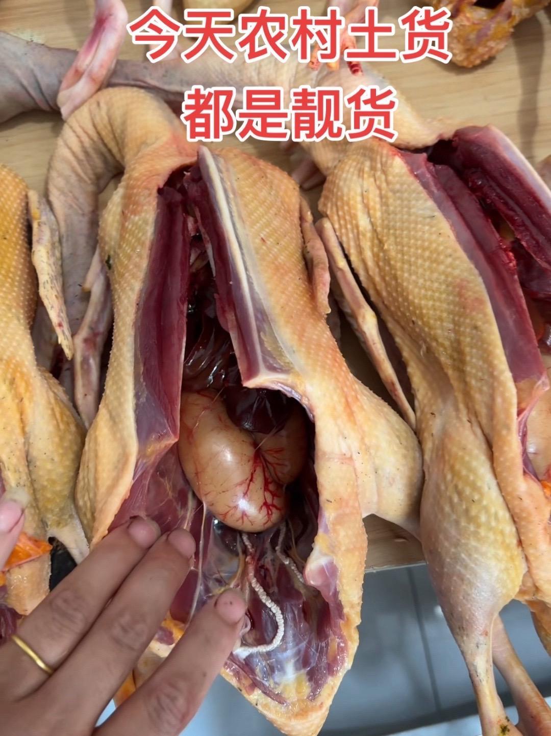 农村2年老麻鸭老鹅老母鸡老公鸡麻鸭番鸭好货太多啦 舌尖上的味道 生态散养土鸡 绿色农产品 