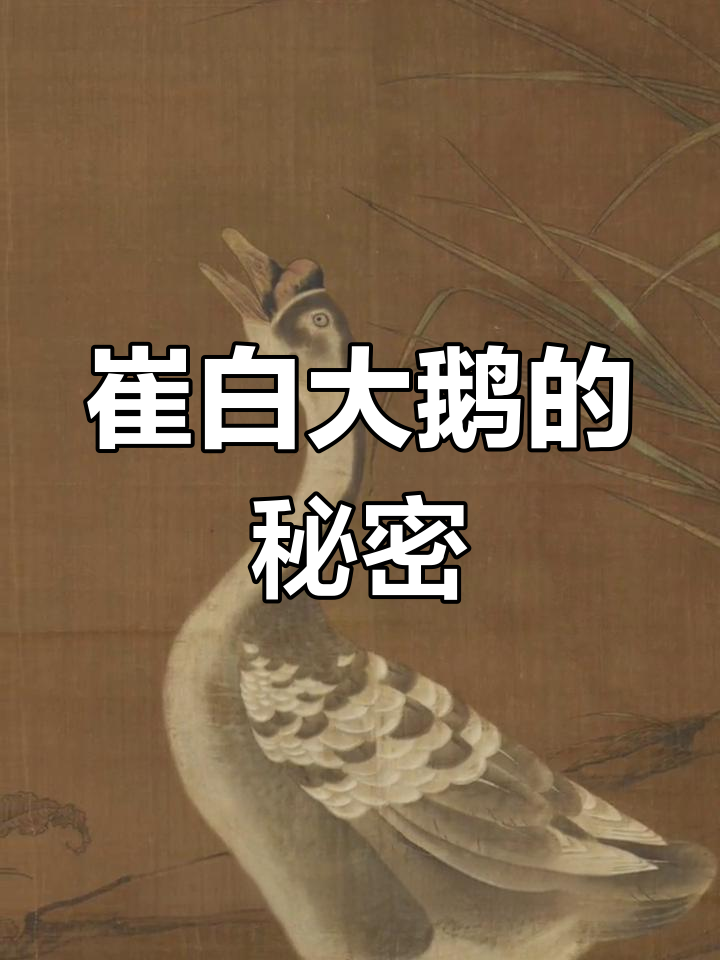 大鹅曲颈高歌,背后竟有如此深意!