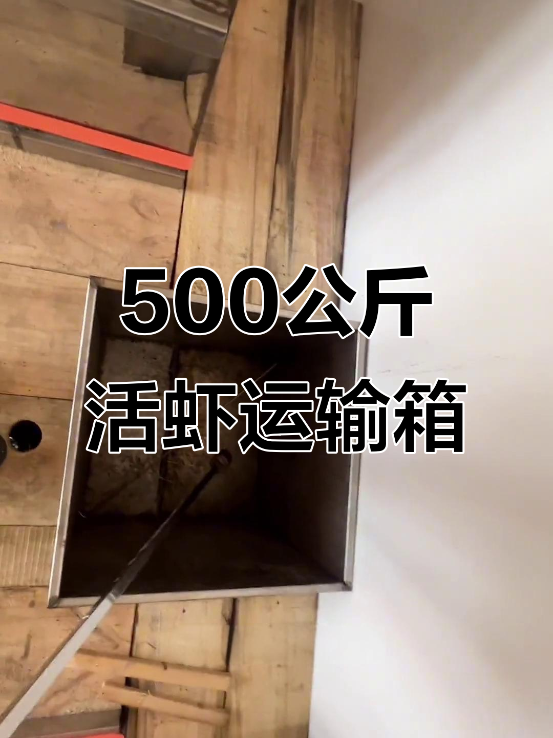 活虾长途运输必备设备:降温增氧全搞定