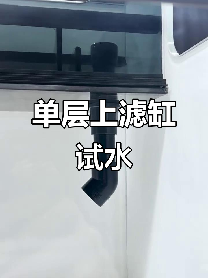 博世龙鱼缸单层上滤安装与循环试水全过程