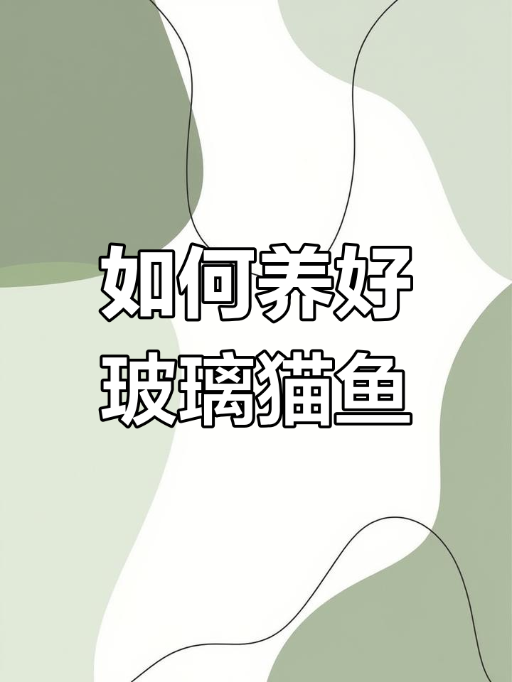 玻璃猫鱼饲养指南:透明鱼的养护技巧