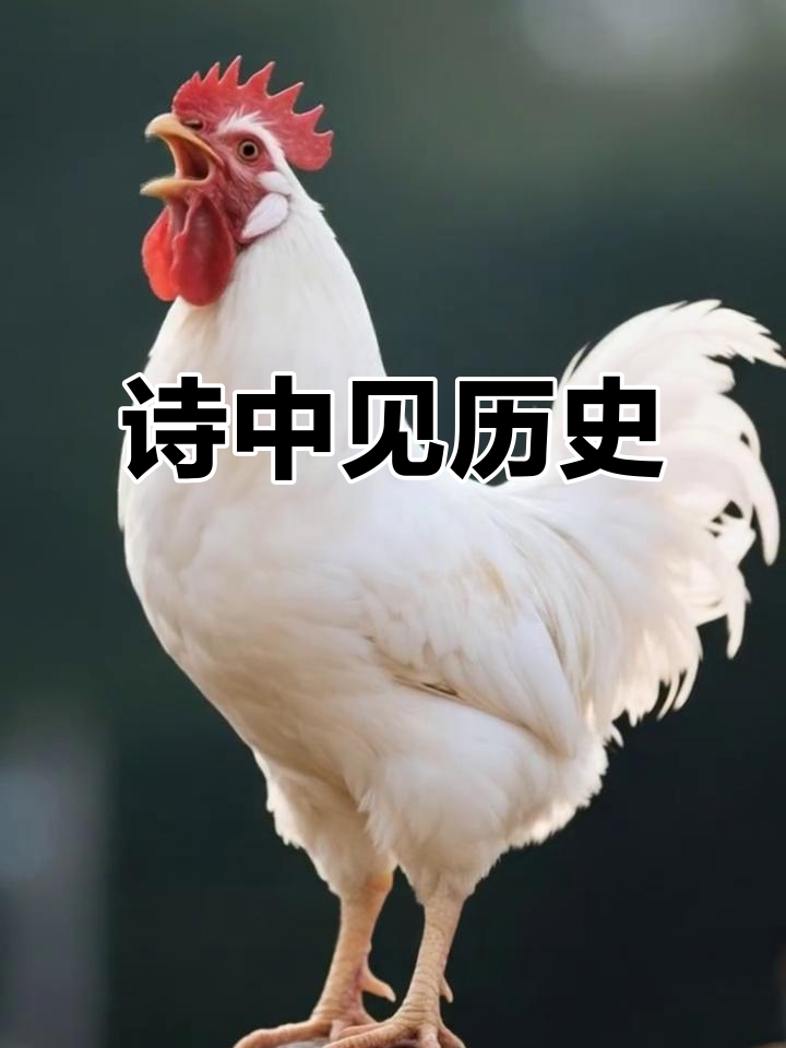 《画鸡》揭示明代政治斗争与复杂社会背景