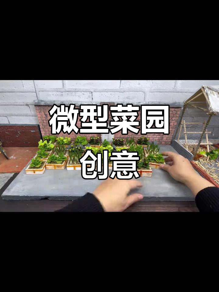 迷你粘土菜园,泡沫箱里种满果蔬,创意满满!