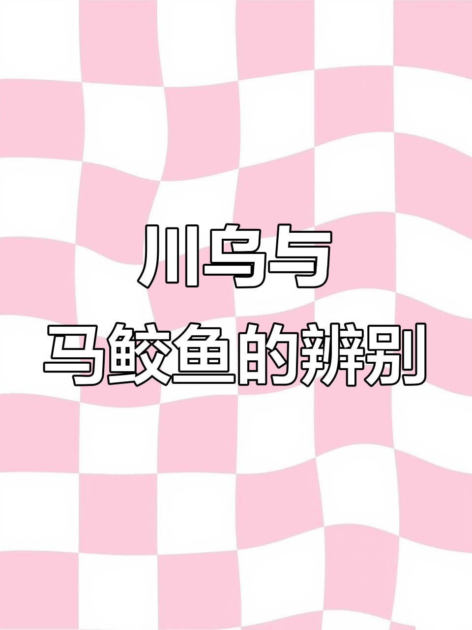 如何区分川乌和马鲛鱼?看这些关键特征