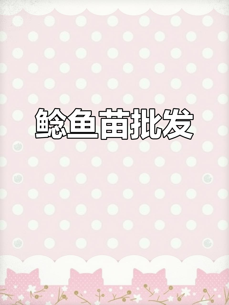优质鲶鱼苗供应,深圳及周边地区批发