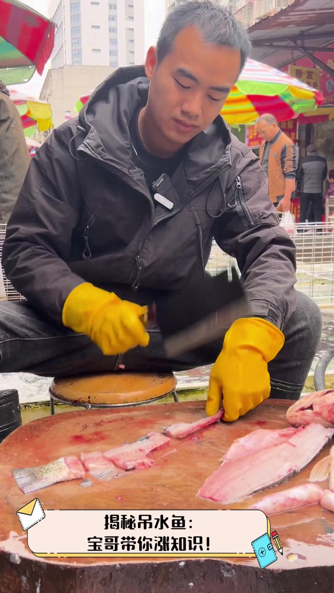 揭秘吊水鱼:宝哥带你涨知识!