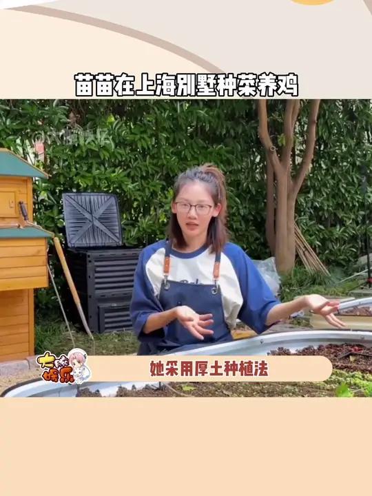 苗苗真的好贤惠,让孩子们吃上健康蔬菜在别墅种菜养鸡