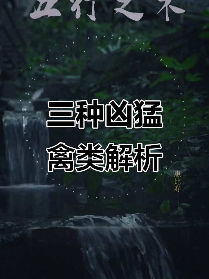 鹅、公鸡与鲤鱼:三种性情暴烈的动物,你了解吗?