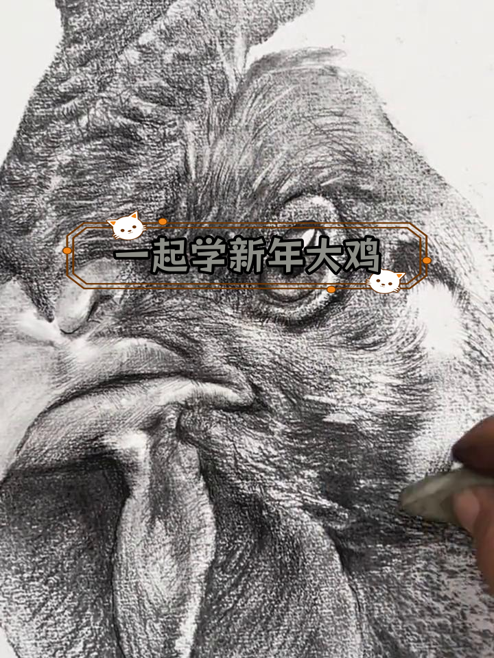 新年鸡素描教程,轻松学画