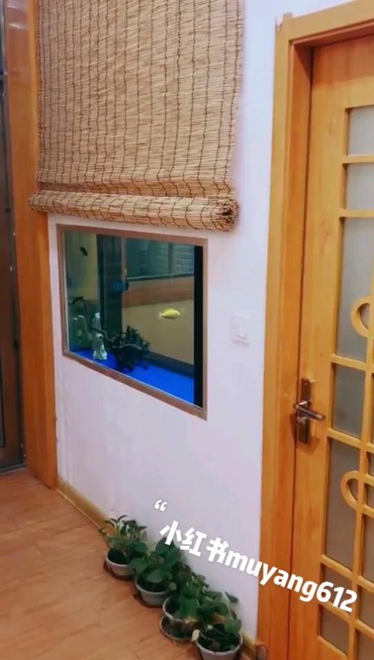 嵌入式鱼缸推荐 一面墙体效果 一面柜子效果
