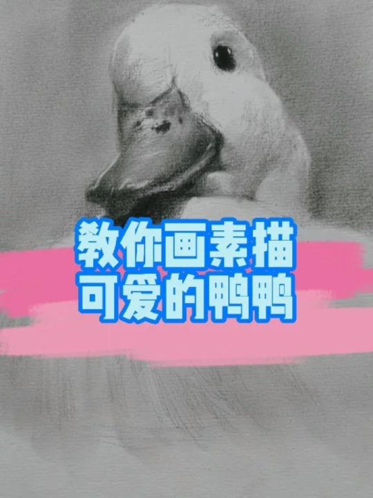 素描动物鸭子画法,你学会了吗^_^