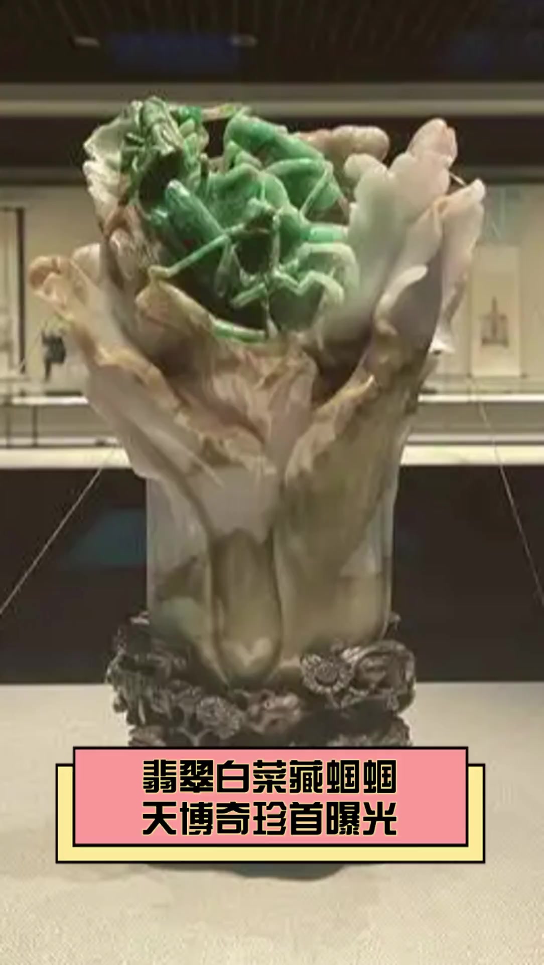 翡翠白菜藏蝈蝈,天博奇珍首曝光