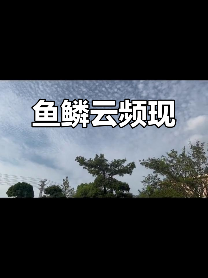 2013年,各地频繁出现“鱼鳞云”,天空美景令人陶醉