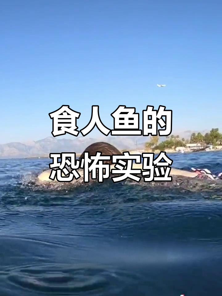 食人鱼有多凶猛？鸡腿放进去，结果惊人！