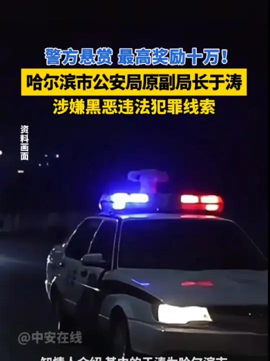 警方悬赏10万征集哈尔滨公安原副局长于涛涉黑线索,妻子、姐姐同为犯罪集团头目 哈尔滨 悬赏