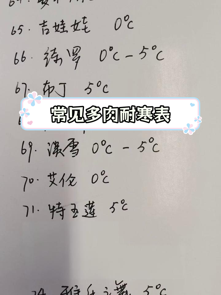 多肉植物耐寒能力排名