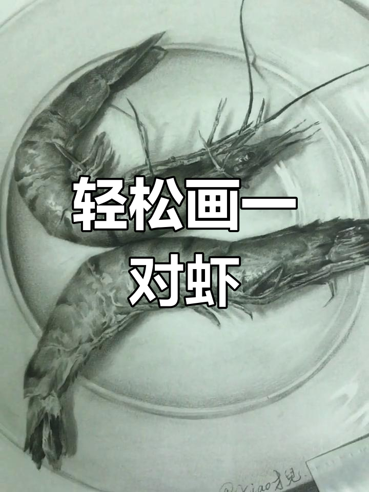 用炭笔画虾,简单又好看