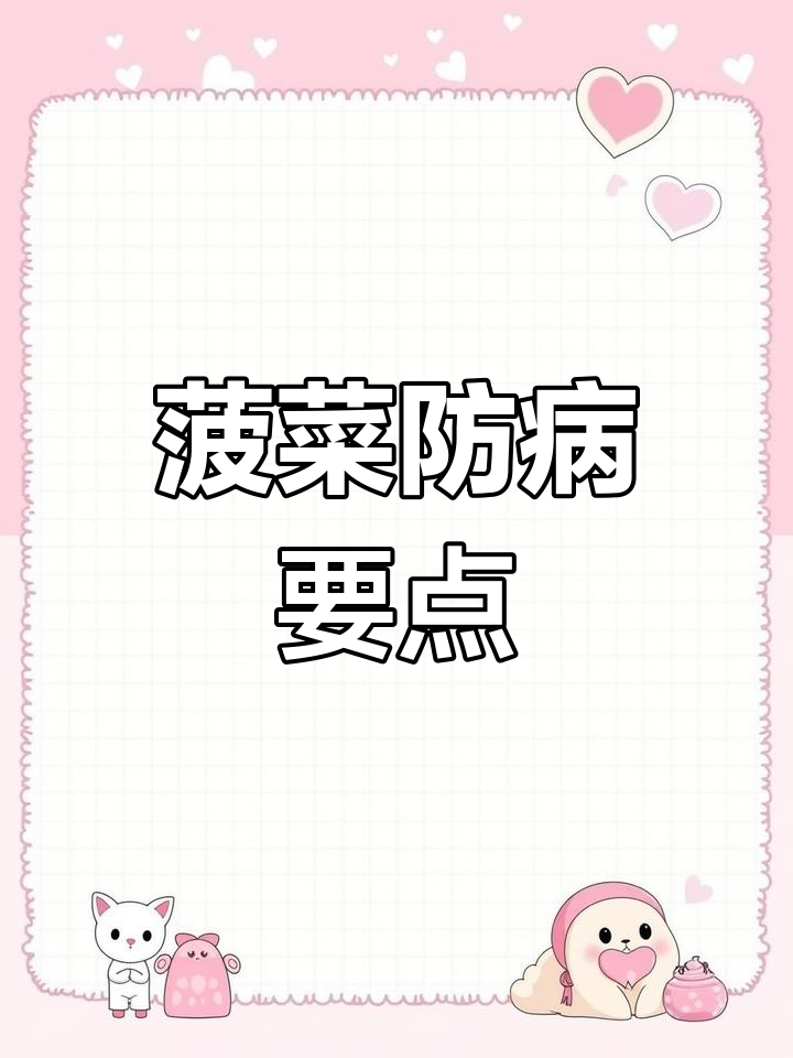 低温高湿环境下,菠菜易患灰霉病和霜霉病