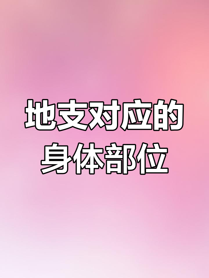 十二地支与身体部位的奇妙对应,了解你的内脏和器官