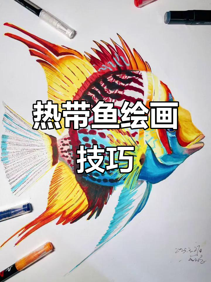 热带鱼绘画，培养观察与色彩分析能力